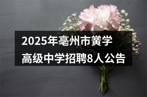 2025年亳州市黉学高级中学招聘8人公告 图片