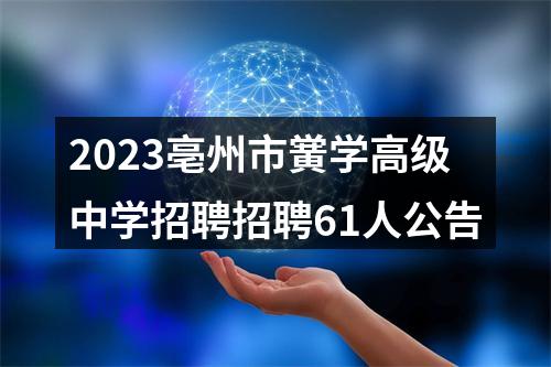 2023亳州市黉学高级中学招聘招聘61人公告 图片